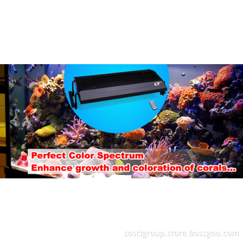 Programmable Sunrise and Sunset LED Aquarium Light